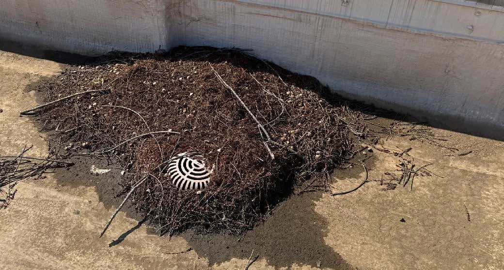 Next Phase Priority Program Full Package REV02 Page 03 Image 0001 Next Phase Priority Program Full Package REV02 Page 03 Image 0001