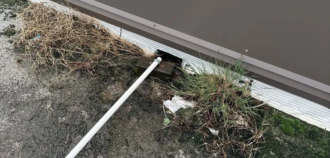 Next Phase Priority Program Full Package REV02 Page 03 Image 0002 Next Phase Priority Program Full Package REV02 Page 03 Image 0002