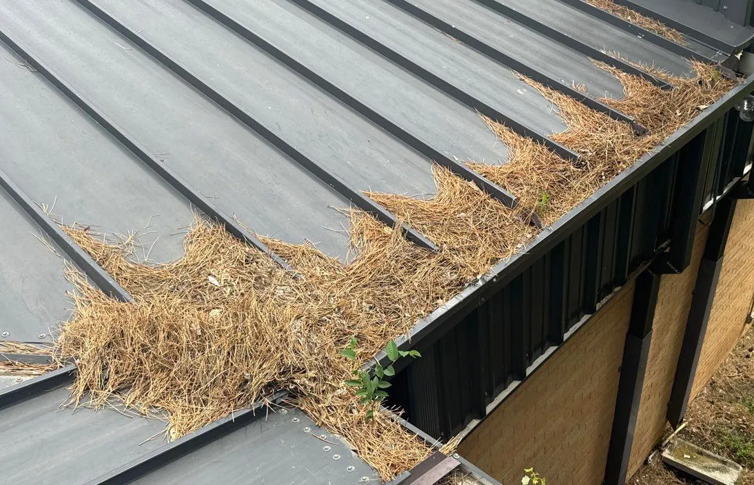 Next Phase Priority Program Full Package REV02 Page 05 Image 0001 Next Phase Priority Program Full Package REV02 Page 05 Image 0001